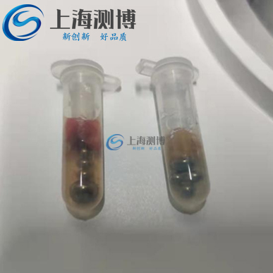 測(cè)博冷凍研磨儀能否完成小鼠肝組織腦組織研磨實(shí)驗(yàn)|浙江工業(yè)大學(xué)實(shí)驗(yàn)室