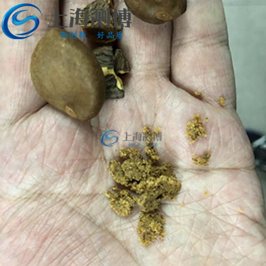 冷凍組織研磨儀對(duì)山茶籽研磨實(shí)驗(yàn)步驟及效果-上海測(cè)博