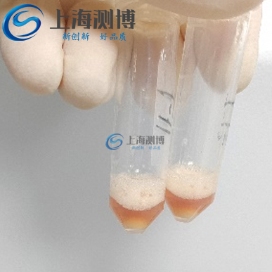 ?科研院所使用冷凍研磨儀對小鼠皮膚組織研磨實(shí)驗(yàn)|人類疾病研究