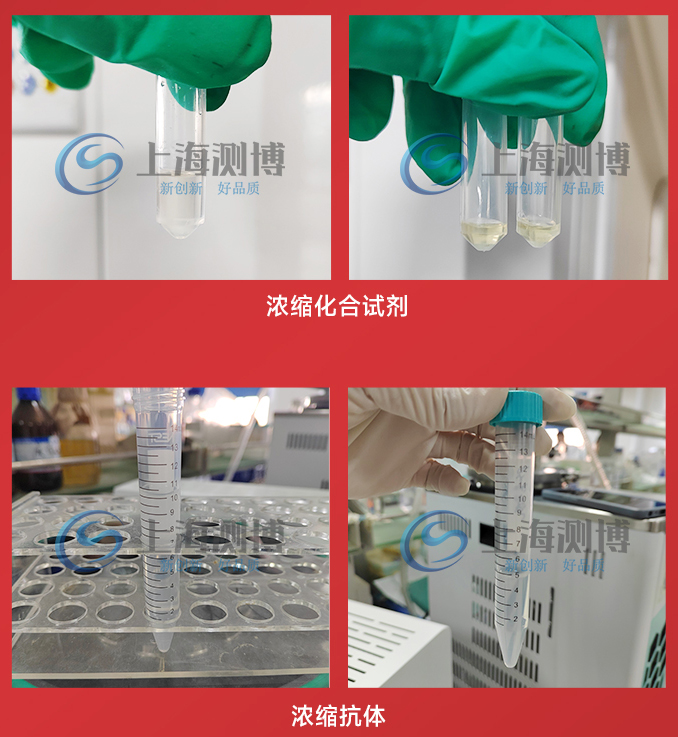 CBNSY-真空離心濃縮儀-測(cè)博_11