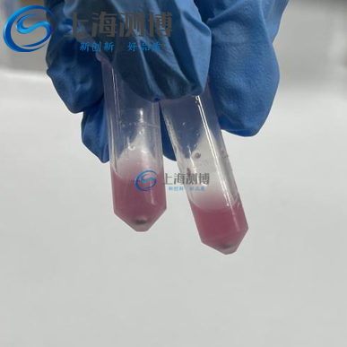 動物睪丸研磨前-logo