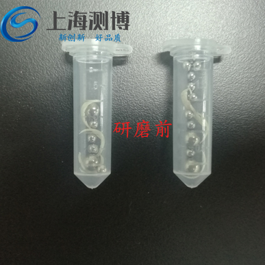 指甲是怎樣利用冷凍研磨儀來提取DNA的？