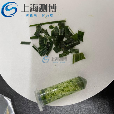 高通量組織研磨儀研磨小麥麥苗實驗現(xiàn)場操作結(jié)果展示