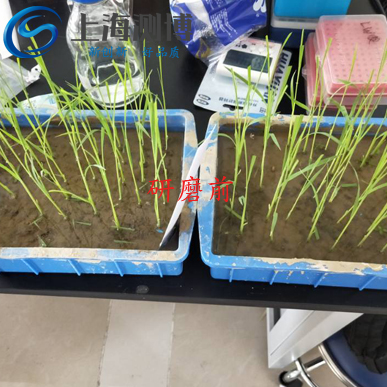 冷凍研磨儀能將難以研磨的水稻葉片進(jìn)行研磨？