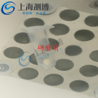 多樣品組織研磨儀能提取玉米DNA嗎？其研磨效果如何？