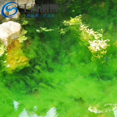 冷凍組織研磨儀能做哪些實(shí)驗(yàn)？葉綠素藻類是什么？