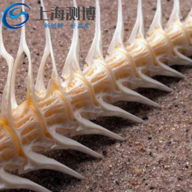 魚骨能用冷凍組織研磨儀研磨提取微量元素嗎？